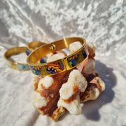 Split Bangle ‘Toucans’